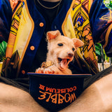 Ganja White Night Wobble Coliseum III Snapback Hat Snapback Hat Wobble Coliseum III Snapback Hat - Default Title