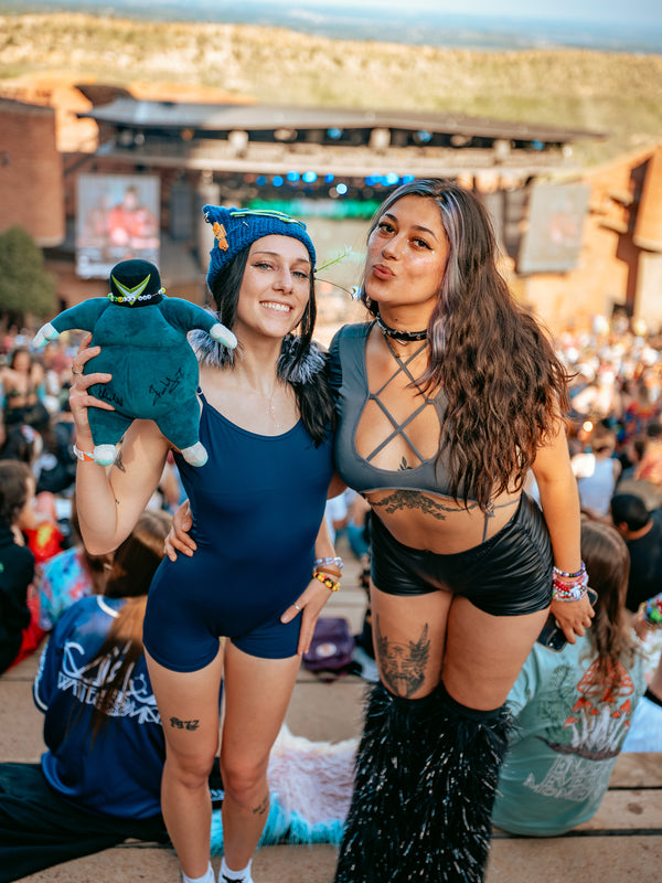 Wobble Rocks IV 2025